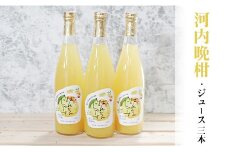 柑橘「河内ばんかん」ジュース3本セット