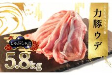 【高知県 大月町産ブランド豚】力豚　ウデ肉5.8kg