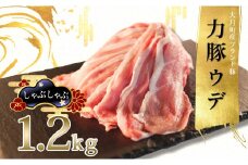 【高知県 大月町産ブランド豚】力豚　ウデ肉1.2kg