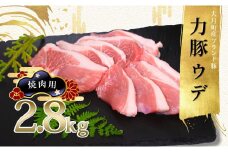 【高知県 大月町産ブランド豚】力豚ウデ焼き肉用2.8kg