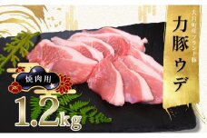 【高知県 大月町産ブランド豚】力豚ウデ焼き肉用1.2kg