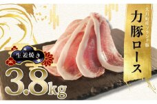 【高知県 大月町産ブランド豚】力豚ロース　生姜焼き用3.8kg
