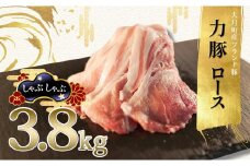 【高知県 大月町産ブランド豚】力豚ロース　しゃぶしゃぶ3.8kg