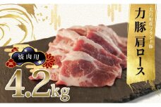 【高知県 大月町産ブランド豚】力豚肩ロース　焼き肉用4.2kg