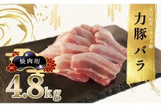 【高知県 大月町産ブランド豚】力豚バラ　焼き肉用 4.8kg
