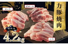 【高知県 大月町産ブランド豚】力豚焼き肉4.2kgセット