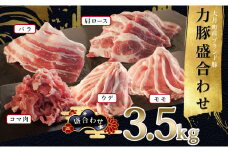 【高知県 大月町産ブランド豚】力豚3.5kg盛り合わせ