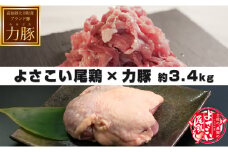 【高知県 大月町のブランド銘柄】よさこい尾鶏×力豚　約3.4kg
