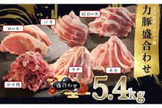【高知県 大月町産ブランド豚】力豚5.4kg盛り合わせ