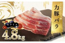 【高知県 大月町産ブランド豚】力豚バラ　スライス 4.8kg