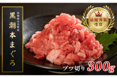 【高知県大月町産 本マグロ】 ブツ切り 300g