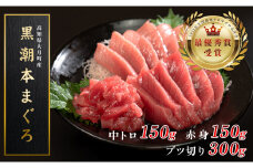 【高知県大月町産 本マグロ】 中トロ・赤身・ブツ600g