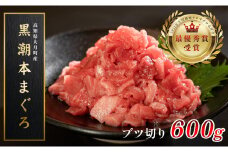 【高知県大月町産 本マグロ】 ブツ切り 600g