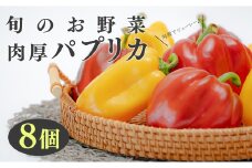 【高知県 大月町産】田村農園の肉厚パプリカ　8個