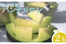 【高知県 大月町産】田村農園のパンナメロン　２玉