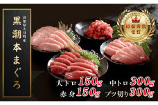 【高知県大月町産 本マグロ】 4種盛り900g