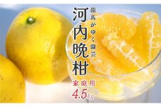 【高知県大月町産】龍馬がゆく園芸 家庭用 河内晩柑(4.5kg)