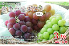 【高知県 大月町産】松田ぶどう園　種なしブドウ3房(1.5kg)