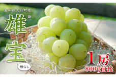 【高知県 大月町産】松田ぶどう園　大粒種なしブドウ「雄宝 」