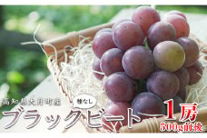 【高知県 大月町産】松田ぶどう園　種なしブラックビート(500g)