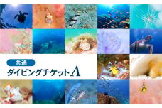大月町共通ダイビングチケットA