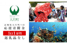 高知県大月町への応援寄付金1万円　【返礼品なし】