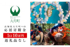 高知県大月町への応援寄付金10万円　【返礼品なし】