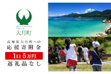 高知県大月町への応援寄付金5万円　【返礼品なし】