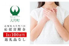 高知県大月町への応援寄付金100万円　【返礼品なし】