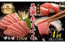 【定期便 4回】日本一!黒潮本まぐろ 中トロ