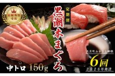 【定期便 6回】日本一!黒潮本まぐろ 中トロ