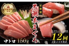 【定期便 12回】日本一!黒潮本まぐろ 中トロ