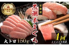 【定期便 4回】日本一!黒潮本まぐろ 大トロ