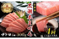 【定期便 4回】日本一!黒潮本まぐろ 中トロ2柵