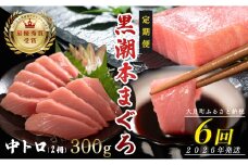 【定期便 6回】日本一!黒潮本まぐろ 中トロ2柵