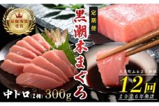 【定期便 12回】日本一!黒潮本まぐろ 中トロ2柵