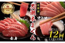 【定期便 12回】日本一!黒潮本まぐろ 中トロ・赤身