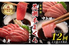 【定期便 12回】日本一!黒潮本まぐろ 中トロ・赤身（交互）