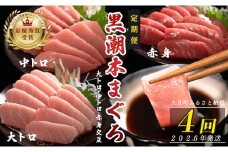 【定期便 4回】日本一!黒潮本まぐろ 大トロ・中トロ・赤身(交互)