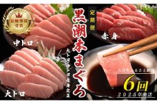 【定期便 6回】日本一!黒潮本まぐろ 大トロ・中トロ・赤身（交互）