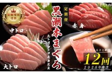【定期便 12回】日本一!黒潮本まぐろ 大トロ・中トロ・赤身（交互） 