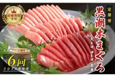 【定期便 6回】日本一!黒潮本まぐろ 大トロ・中トロ・赤身 3種セット