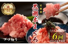 【定期便 6回】日本一!黒潮本まぐろ ブツ切り