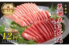 【定期便 12回】日本一!黒潮本まぐろ 大トロ・中トロ・赤身 3種セット