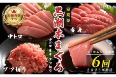【定期便 6回】日本一!黒潮本まぐろ 中トロ・赤身・ブツ切り 3種セット