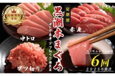 【定期便 6回】日本一!黒潮本まぐろ 中トロ・赤身・ブツ切り（3種交互）