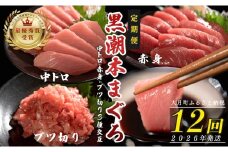 【定期便 12回】日本一!黒潮本まぐろ 中トロ・赤身・ブツ切り（3種交互）