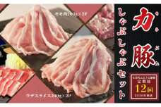 【定期便 12回】ブランド豚 力豚しゃぶしゃぶセット