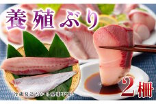 【高知県 大月町産】うみのファームぶり（柵２本セット）