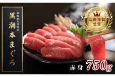【高知県大月町産 本マグロ】 赤身750g